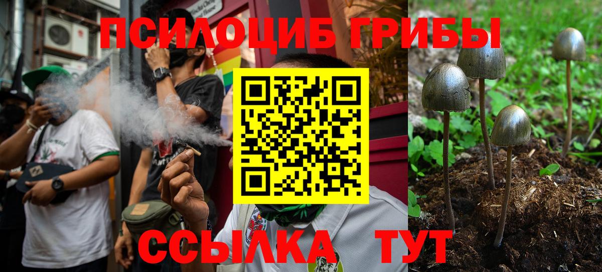 Галлюциногенные грибы MAGIC MUSHROOMS Печора